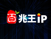 百兆王IP-使用教程